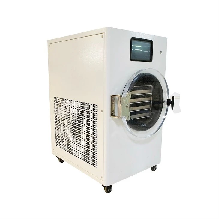 Vacuum Freeze Dryer