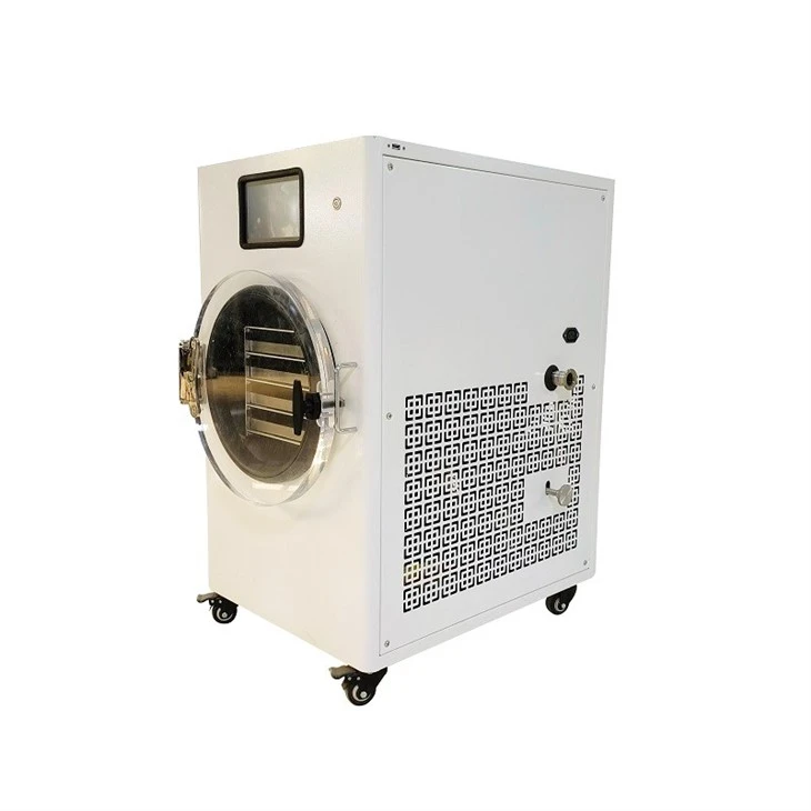 Vacuum Freeze Dryer
